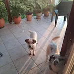 Holiday home Tragano
