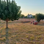 Tragano Traganón